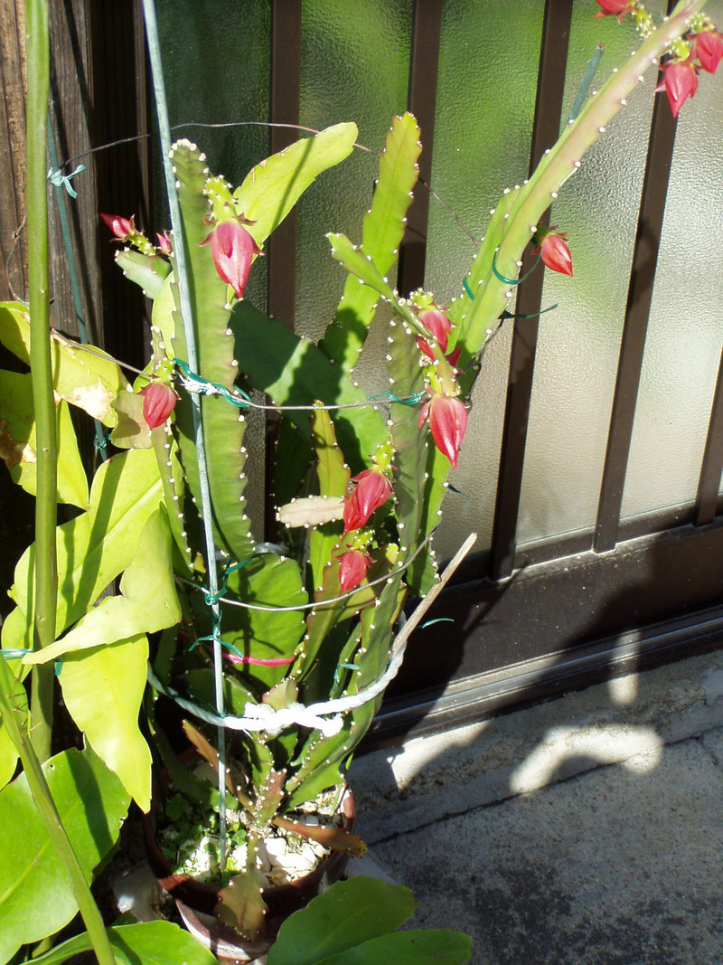 P1010063_2