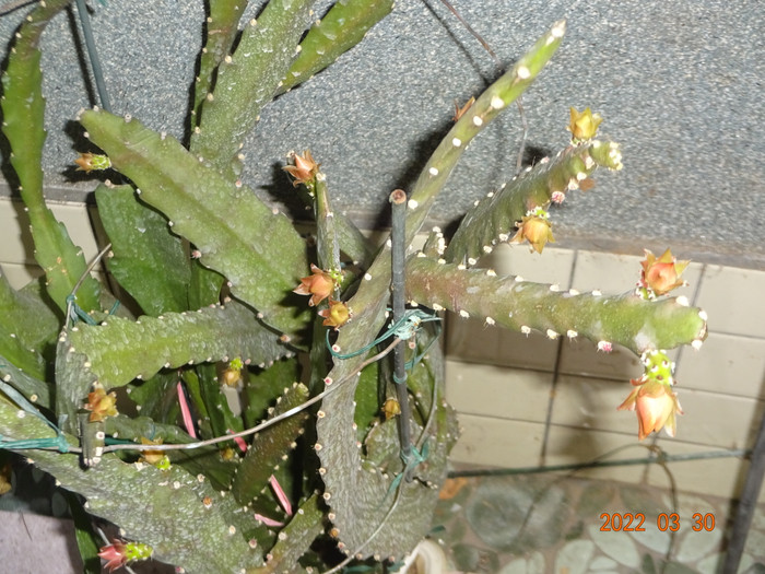 Dsc04028
