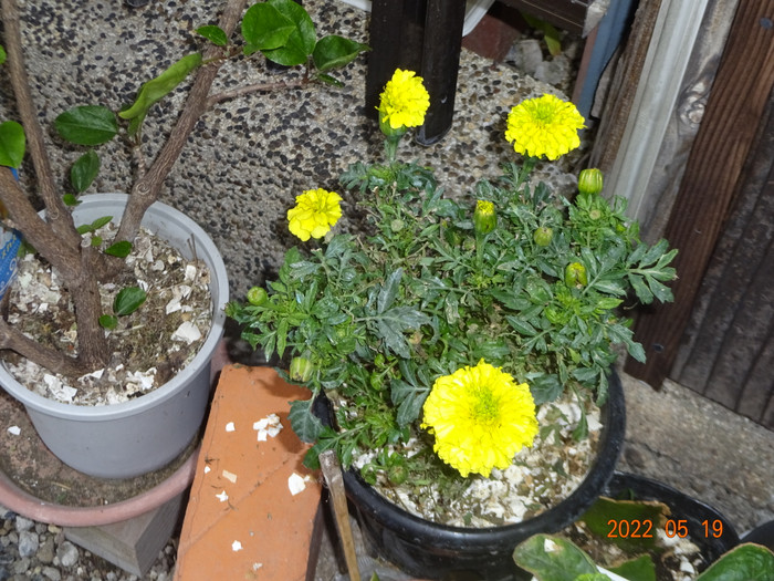 Photo_2