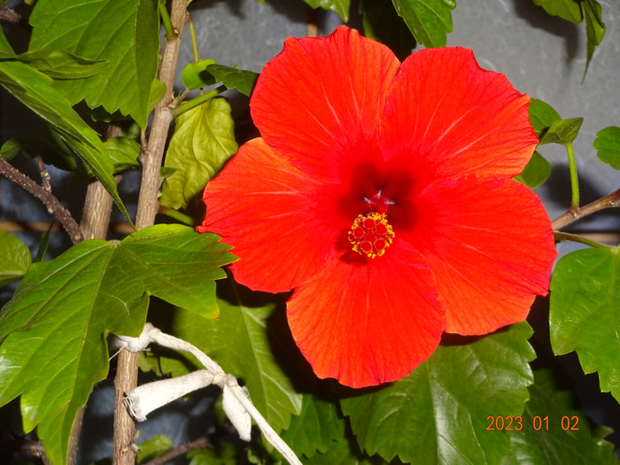 Dsc04179
