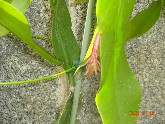 Dsc04247_2