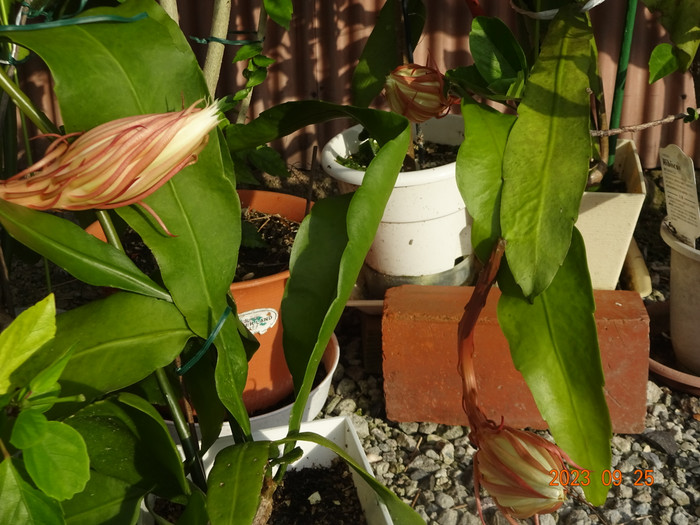 Dsc04309