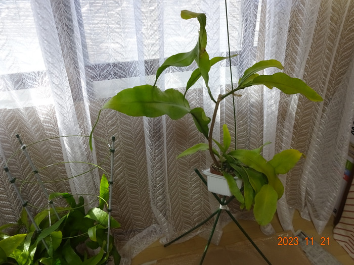 Dsc04330