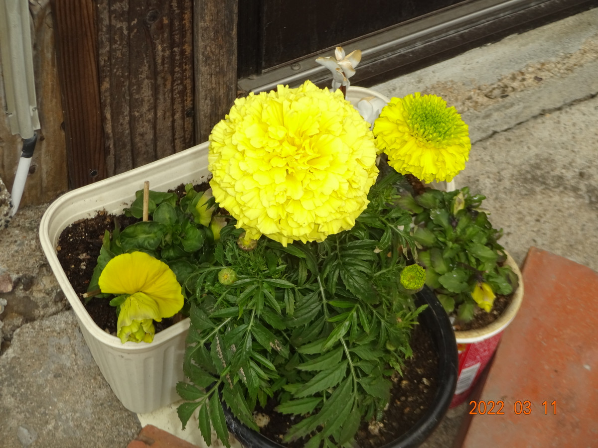 Dsc04023