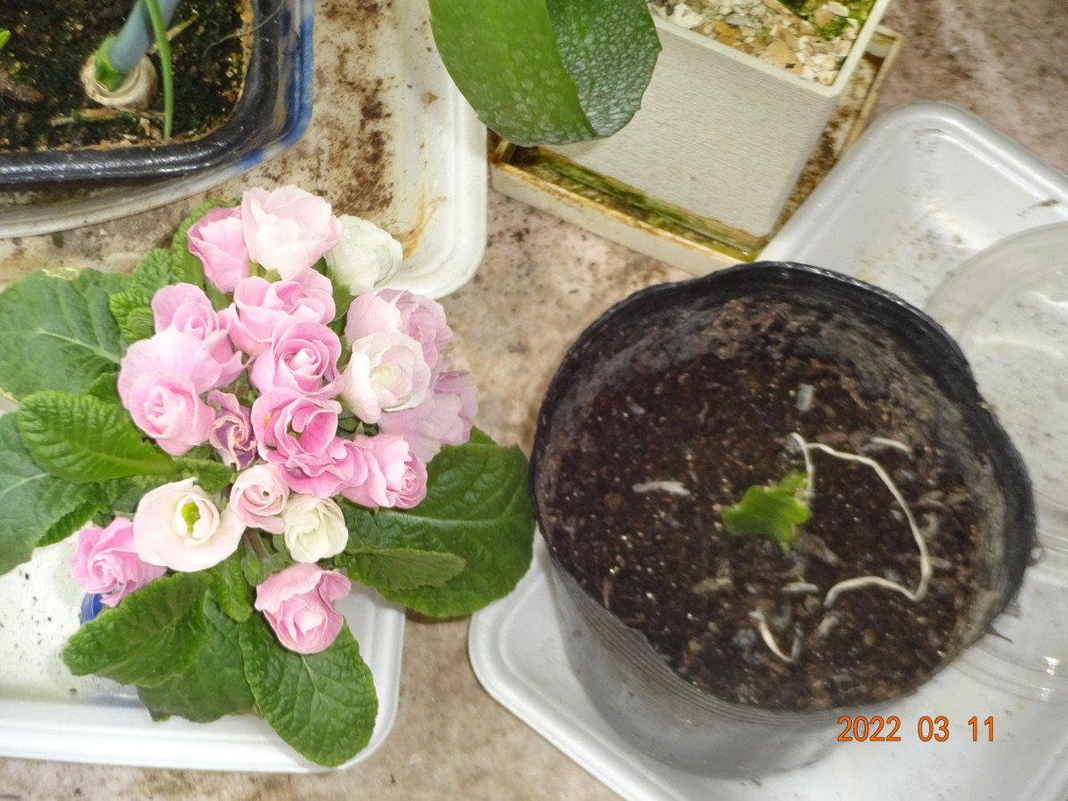 Dsc04025